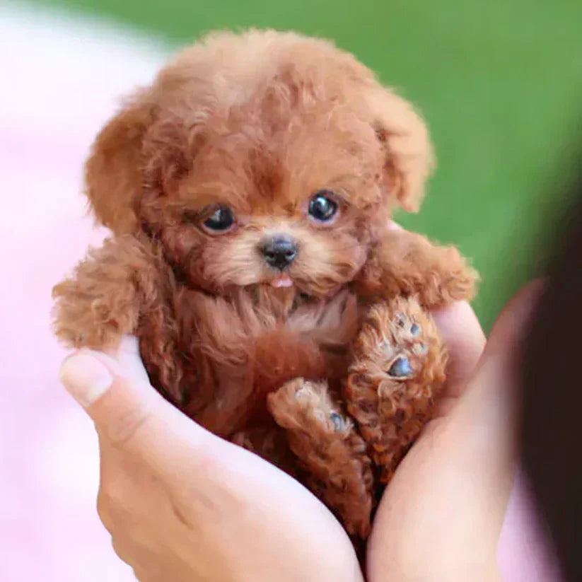 Realistic Robot Puppy Toy