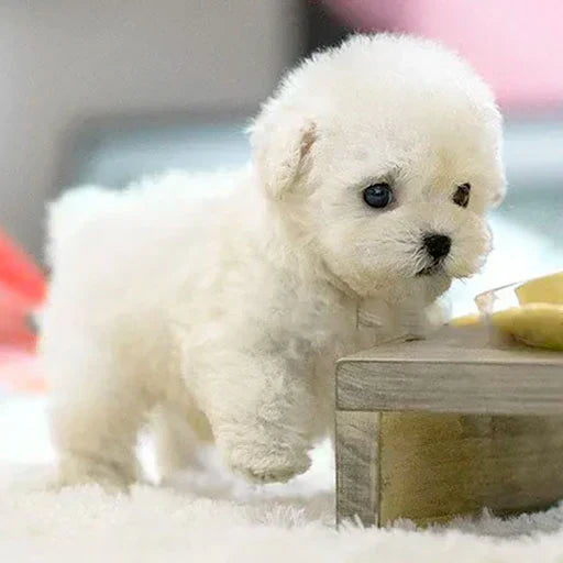 Realistic Robot Puppy Toy